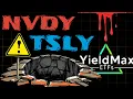 YieldMax NVDY vs TSLY 100k Portfolio Crashed to 42k in 5 Years
