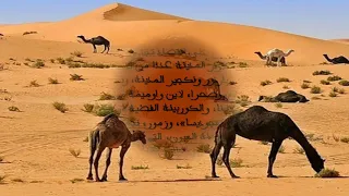 العيون عينيا والساقبة الحمرا ليا 