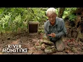 Jeremy Wade s SCARIEST Encounters with DEADLY ANIMALS River Monsters Part 2