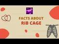FACT ABOUT RIB CAGE