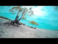 Ocean Cruise - FPV Freestyle Malaysia