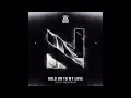 John Newman - Hold On To My Love