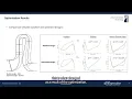 Centrifugal Compressor Impeller and Return Channel Optimization with