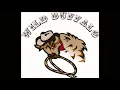 WB DAB Halápi - All Aboard