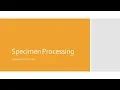 Specimen Processing Transport