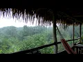 Amazon Rain on Jungle Lodge. Heavy Rain and Thunder Sounds for Sleeping 10 hours. Rain 4k ultra hd.