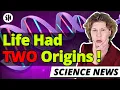Unexpected Discovery Life on Earth Had Two Origins Scientists Find