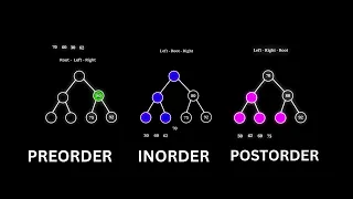 Preorder Vs Inorder Vs Postorder Binary Search Tree Data Structures Visualization