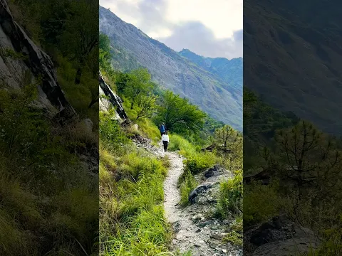 🌿 A beauty walk through the heart of the Valley #jibhi #ValleyViews #Serene #NatureEscape #tirthan