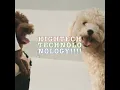 Love Contract (계약연애) (Prod. By GRAY) (Feat. Vinxen) (빈첸)