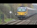 OBB Nightjet Train NSI Siemens Vectron 193 263 Station Colmschate November 2025