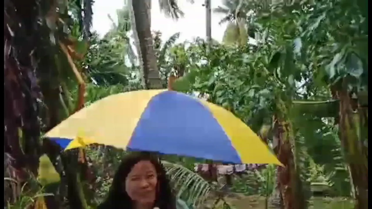 Update ng Bagyong Ulysses sa Nagcarlan Laguna II Thursday 11/12/20 Signal #3 II PINAY ROCKHILL USA