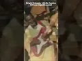 Download Lagu Bright Chimezie - Life Na Teacher [African highlife music]