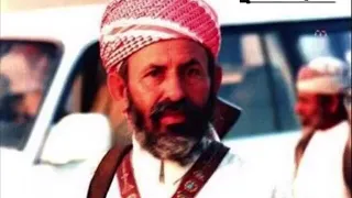 الشيخ حسن بن علي بن منصر 