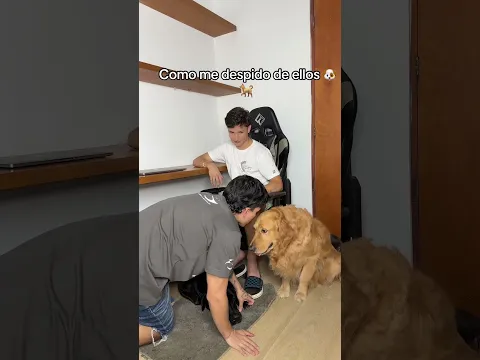 Es que son los niños 🐕
