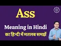 Ass meaning in Hindi Ass ka matlab kya hota hai