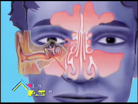 El oído ¿Nuevo medio de transmisión del covid-19?