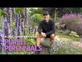Lagu Designing with Purple Flowers | Perennial Combinations for Your Garden | Perennial Garden