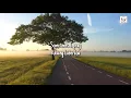 Fine Today - Ardhito Pramono (Video Lirik Terjemahan) (Ost. Nanti Kita Cerita Tentang Hari Ini)