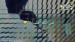 يايما روح الروح سميتو اني 