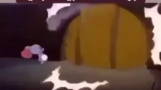 اقوي شتيم افتح البيب ياكسمك دندنها