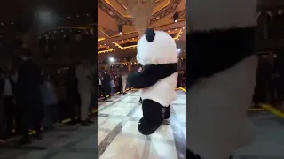  الباندا قلبت الفرح       منشن لصحبتك الي هتجيب الباندا في فرحها   دندنها