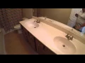 9319 Pecky Cypress
