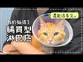 Download Lagu 【魚乾】貓咪癌症怎麼辦？從發現到化療/治療費用/情緒轉變紀錄。#貓咪癌症