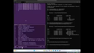 Set Up NET Development in Helix on Windows C OmniSharp netcoredbg Raylib