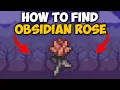 Terraria How To Get Obsidian Rose Terraria Obsidian Rose 1 4 4 9