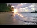Hawaii Ocean Waves White Noise | Sleep, Study, Insomnia Relief | Beach Sounds 10 Hours