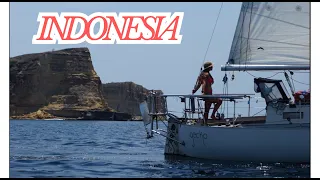 A Bay Full of Surprises (Careful Navigation Required) WHSE177