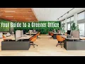 The Ultimate Guide Green Office Best Practices