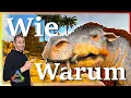 ARK Taming Guide Daeodon zahmen seine Fahigkeiten mit Humor