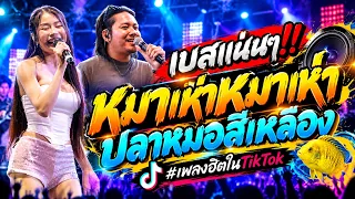 วาไรตี้เพลงฮิตมันส์ๆ!! หมาเห่าๆ+ปลาหมอสีเหลือง+เพลงจีน+คนขี่หลังควาย [แสดงสดไทรถแห่] #เบสแน่นๆ