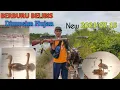 BERBURU BELIBIS TERBARU 2021.DAPAT HADIAH PERDAM R10 DARI SNIPER NGAPAK👍👍🙏🏻