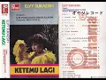 Lagu Ketemu Lagi / Elvy Sukaesih (Original Full)