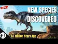 Download Lagu Dinosaurs, T. Rex, The Last Megaraptor - Which Dinosaur Was the Real King? | Boring Sapiens
