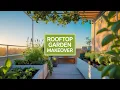 Rooftop Garden Guide Transform Your Roof into a Green Oasis