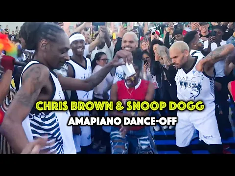 Download MP3 Chris Brown and Snoop Dogg Dances to Amapiano African Music