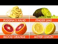 Download Lagu Trying Every Type Of Citrus | The Big Guide | Epicurious