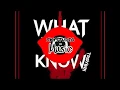 Lagu TROYBOI - What You Know [SkyStudio Remix]