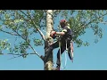 ECHO CS-2511T Chainsaw For Sale in Nashville TN