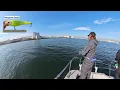 はじめてのビッグベイト シーバス 【東京湾】