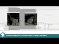 MeVisLab Tutorials - Contours