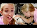 The Tragic Life of Dr Lisa Chimes Is So Sad Bondi Vet Tragedy