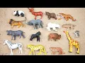 Download Lagu Lion, Elephant, Cheetah, Giraffe, Bear, Tiger, Zebra,  Wolf, Zoo Animals, Toy Wild Animals for Kids