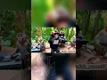 Download Lagu garam cina 😅😅 #monyetlucu #videolucu #hiburan #monkey