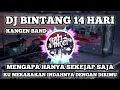 DJ BINTANG 14 HARI KANGEN BAND