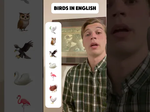 Why Comprehensible Input Is Now Possible